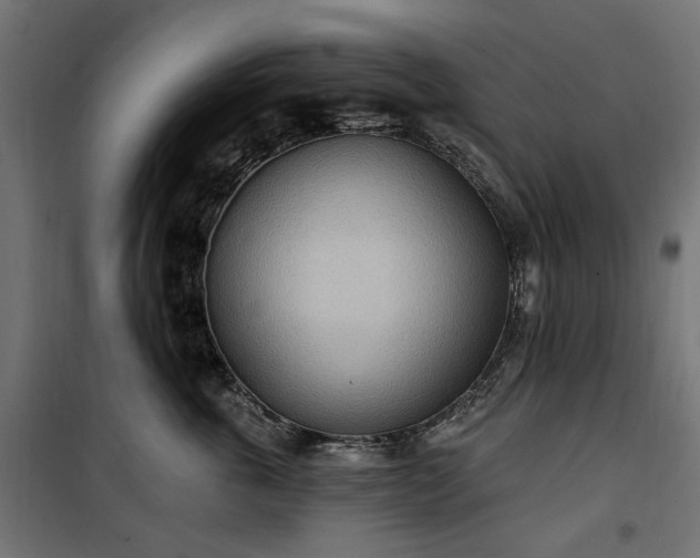 X0000100470763200806201606