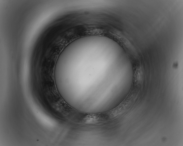 X0000100470764200806201606