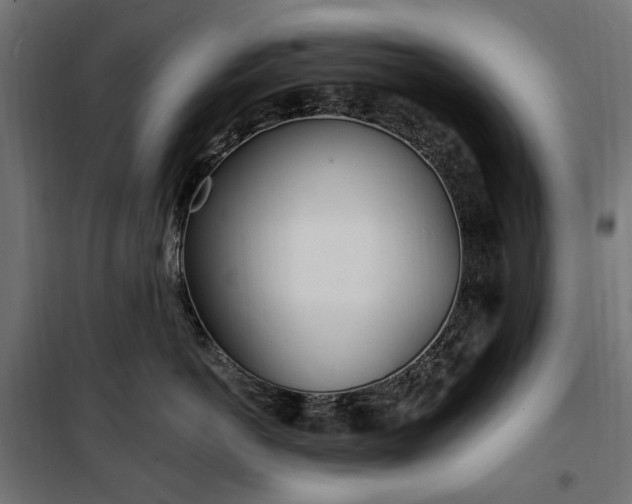 X0000100470766200806201606