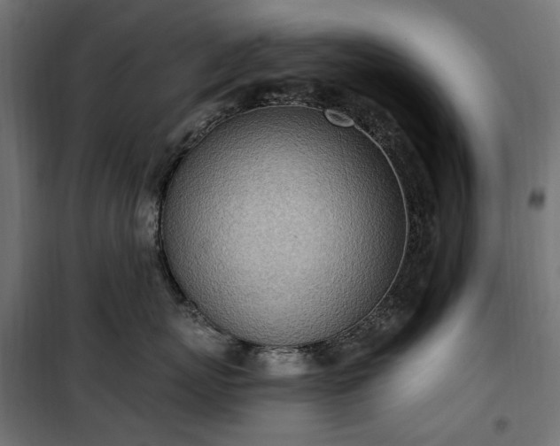 X0000100470767200806201606