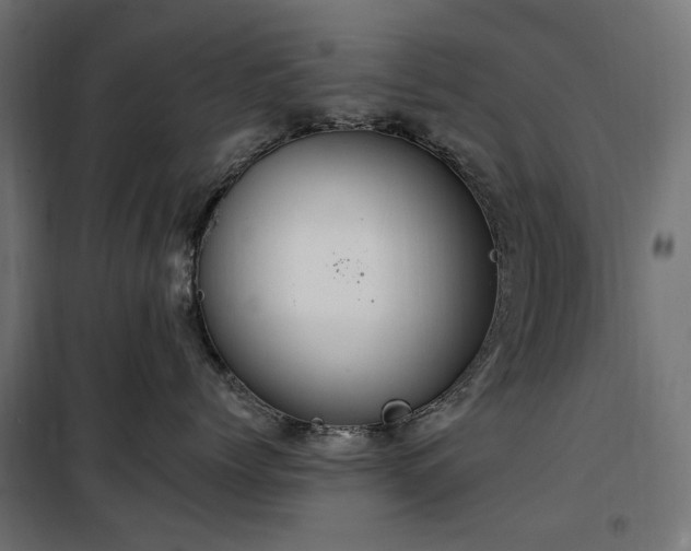 X0000100470768200806201606