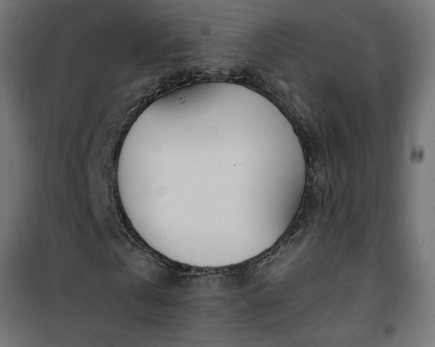 X0000100470769200806201606