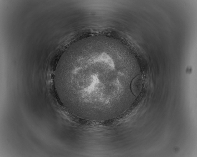 X0000100470770200806201606