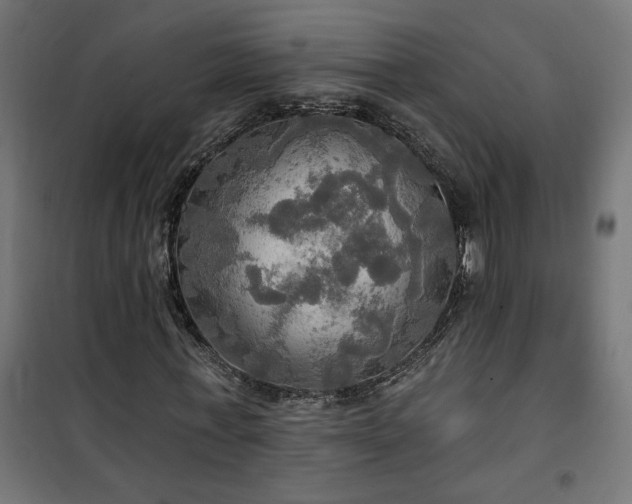 X0000100470771200806201606