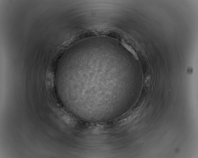 X0000100470772200806201606