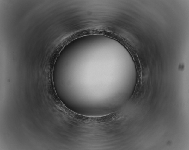 X0000100470773200806201606