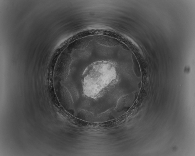 X0000100470775200806201606