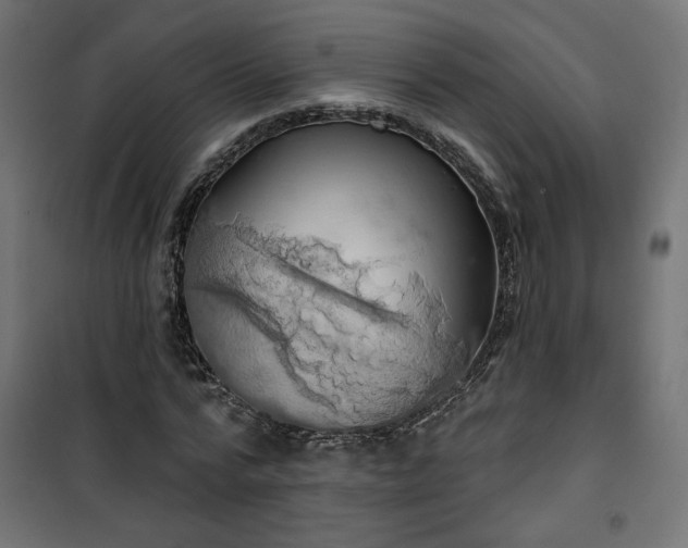 X0000100470776200806201606