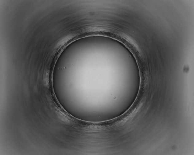 X0000100470777200806201606