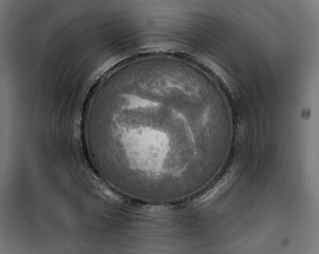 X0000100470778200806201606