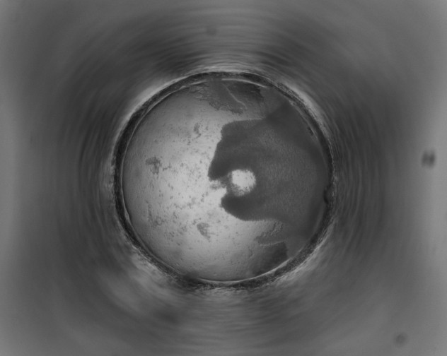 X0000100470779200806201606