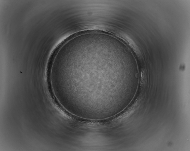 X0000100470780200806201606