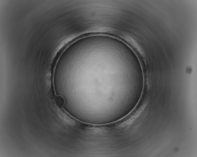 X0000100470781200806201606