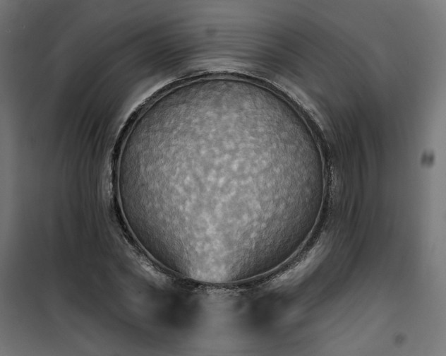 X0000100470782200806201606