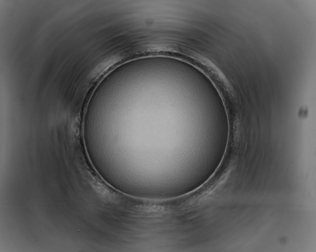 X0000100470785200806201605