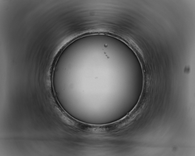 X0000100470789200806201605