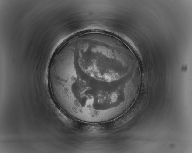 X0000100470791200806201605