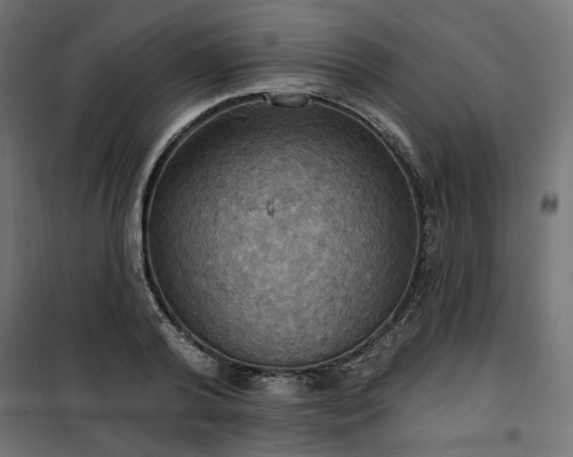 X0000100470792200806201605