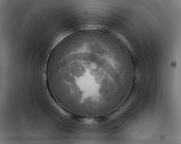 X0000100470794200806201605