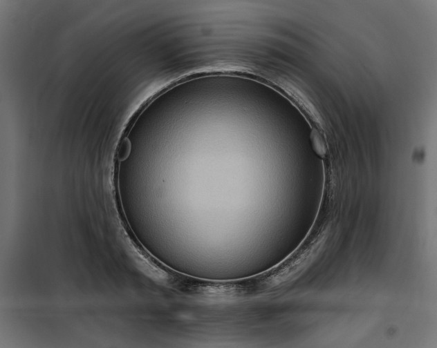 X0000100470797200806201605