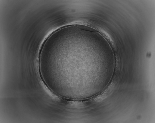 X0000100470800200806201605