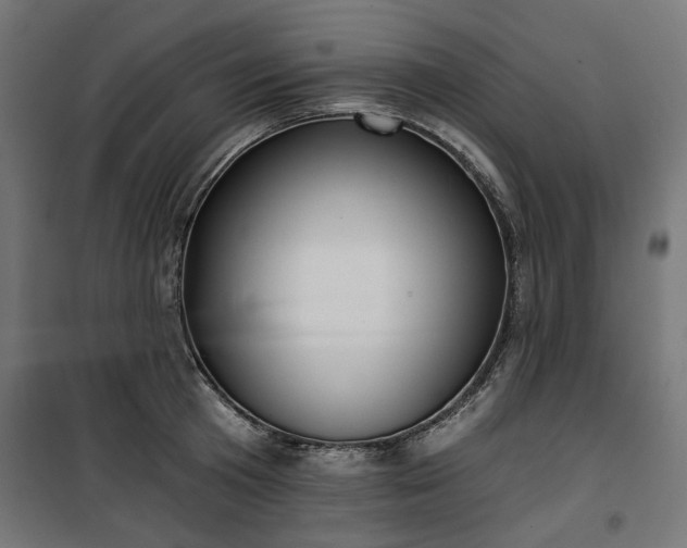 X0000100470801200806201605