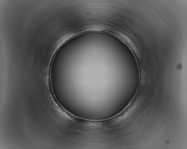 X0000100470802200806201605