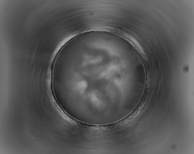 X0000100470804200806201605