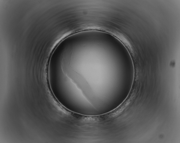 X0000100470806200806201605