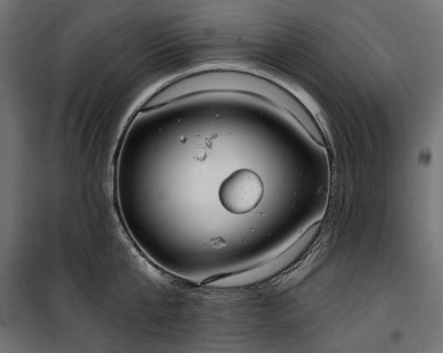 X0000100470807200806201605