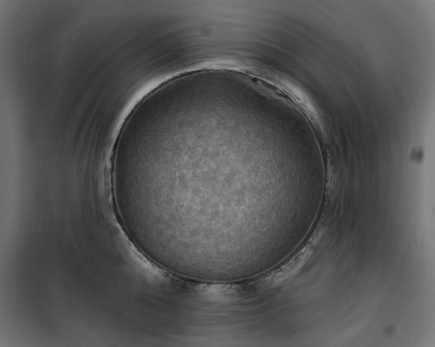 X0000100470808200806201605