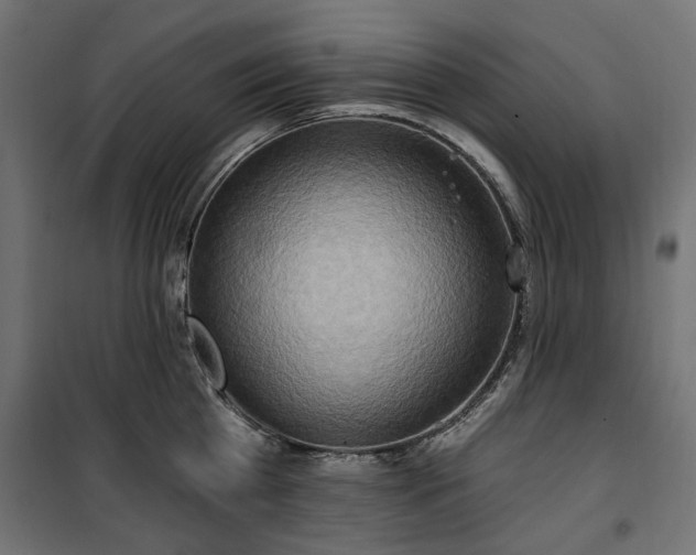 X0000100470809200806201605