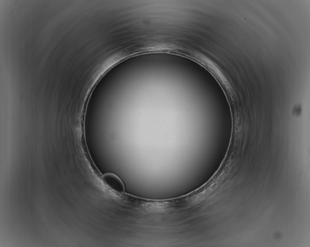 X0000100470810200806201605