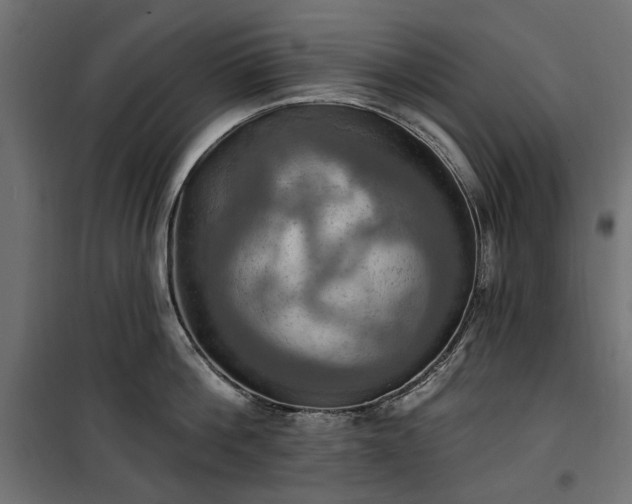 X0000100470812200806201605