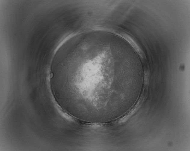 X0000100470814200806201605