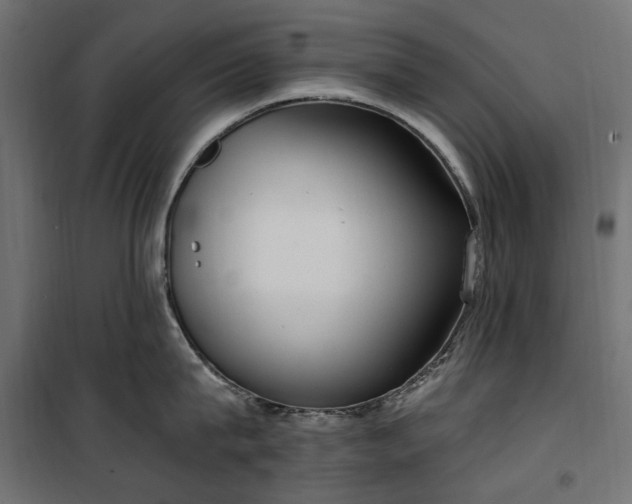 X0000100470815200806201605