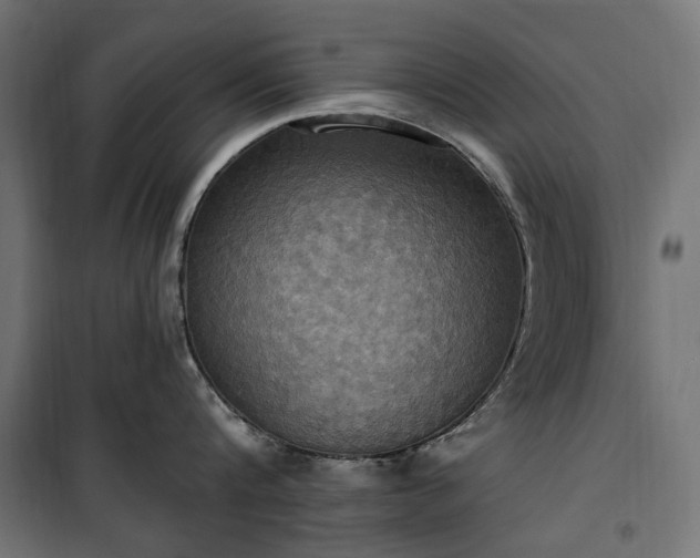 X0000100470816200806201605