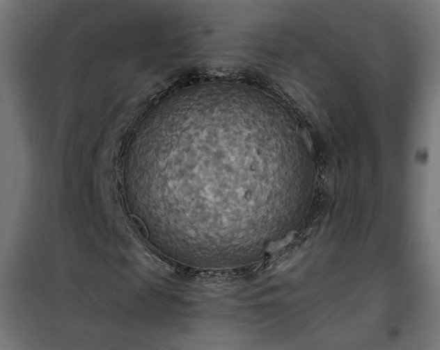 X0000100470817200806201604