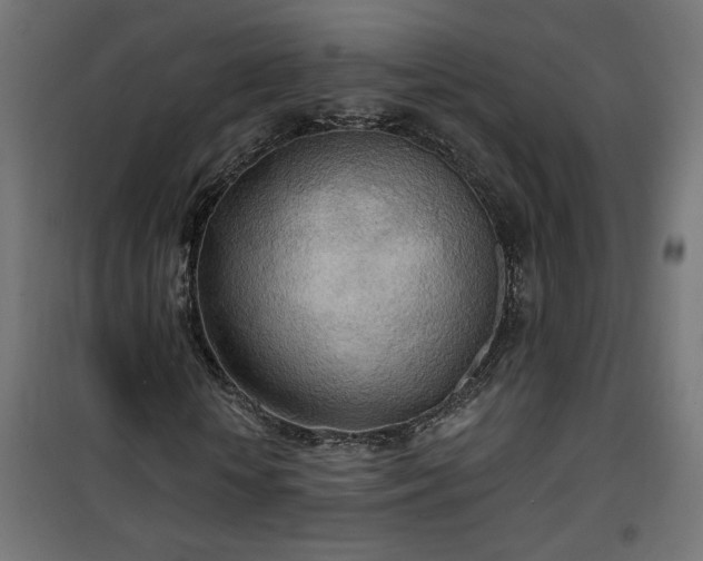 X0000100470818200806201604