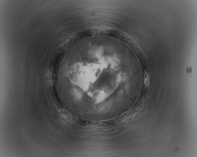 X0000100470819200806201604