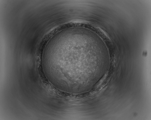 X0000100470821200806201604