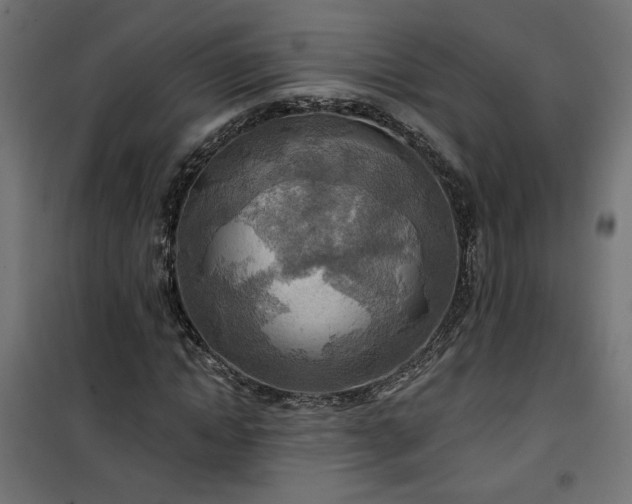 X0000100470822200806201604