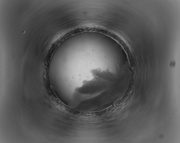 X0000100470823200806201604