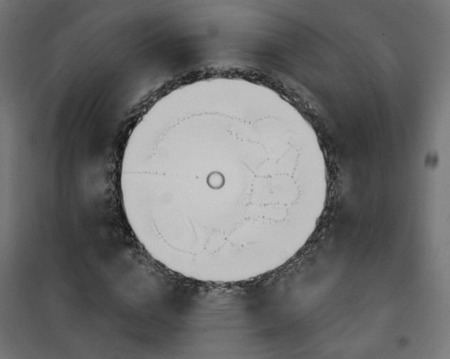 X0000100470824200806201604