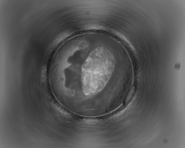 X0000100470825200806201604