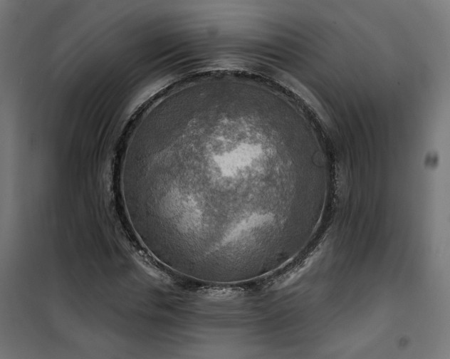 X0000100470826200806201604