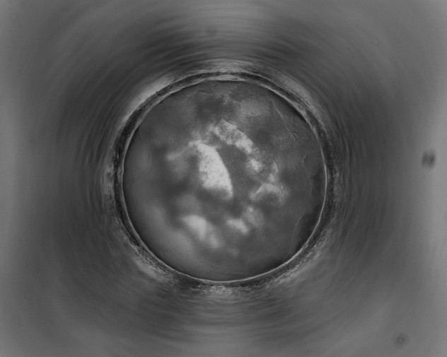 X0000100470827200806201604