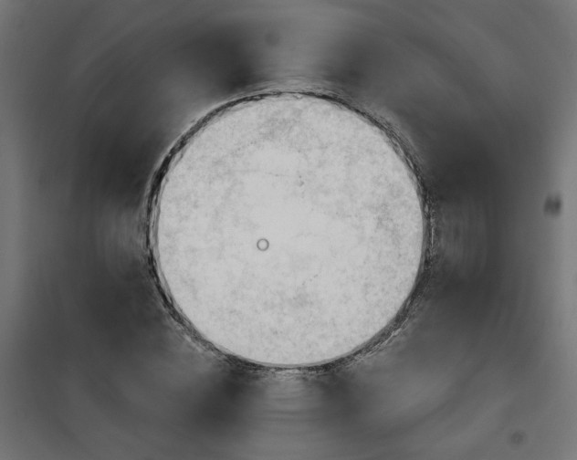 X0000100470828200806201604