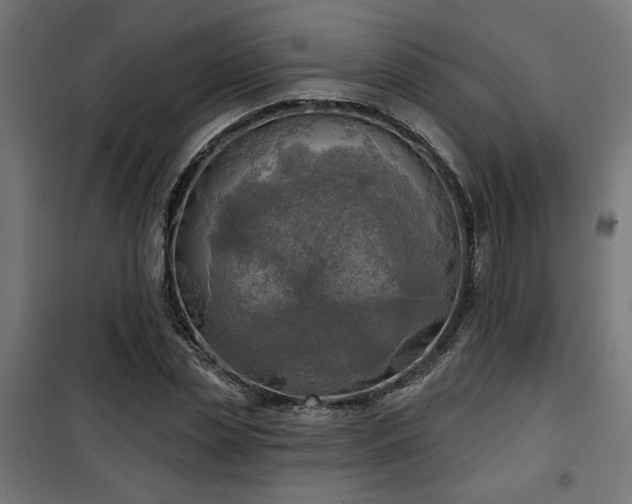 X0000100470829200806201604