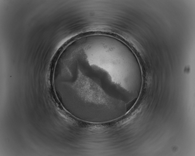 X0000100470830200806201605